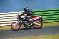 Vintage-motorcycle-club;eventdigitalimages;mallory-park;mallory-park-trackday-photographs;no-limits-trackdays;peter-wileman-photography;trackday-digital-images;trackday-photos;vmcc-festival-1000-bikes-photographs